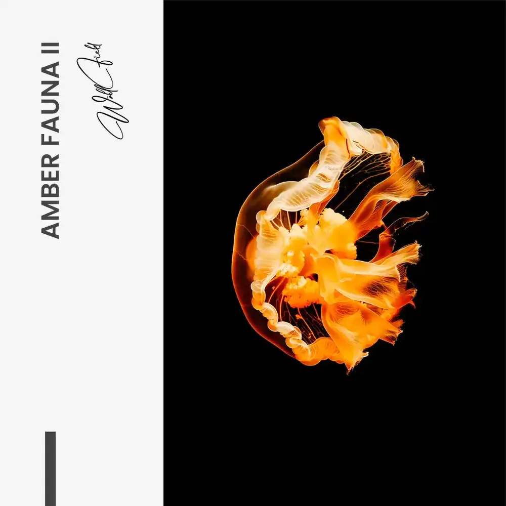 Amber Fauna II – Vetro