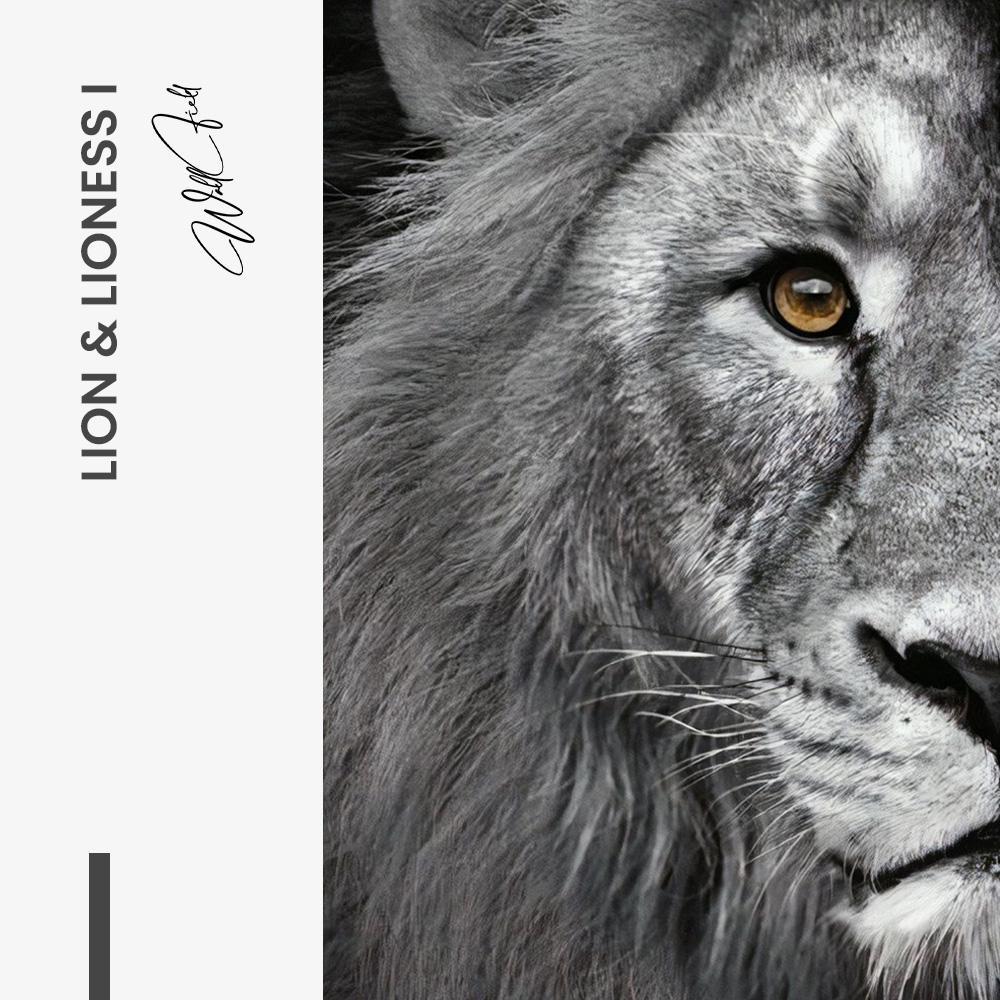 Bundle: "Lion & Lioness" (2x) – Vetro