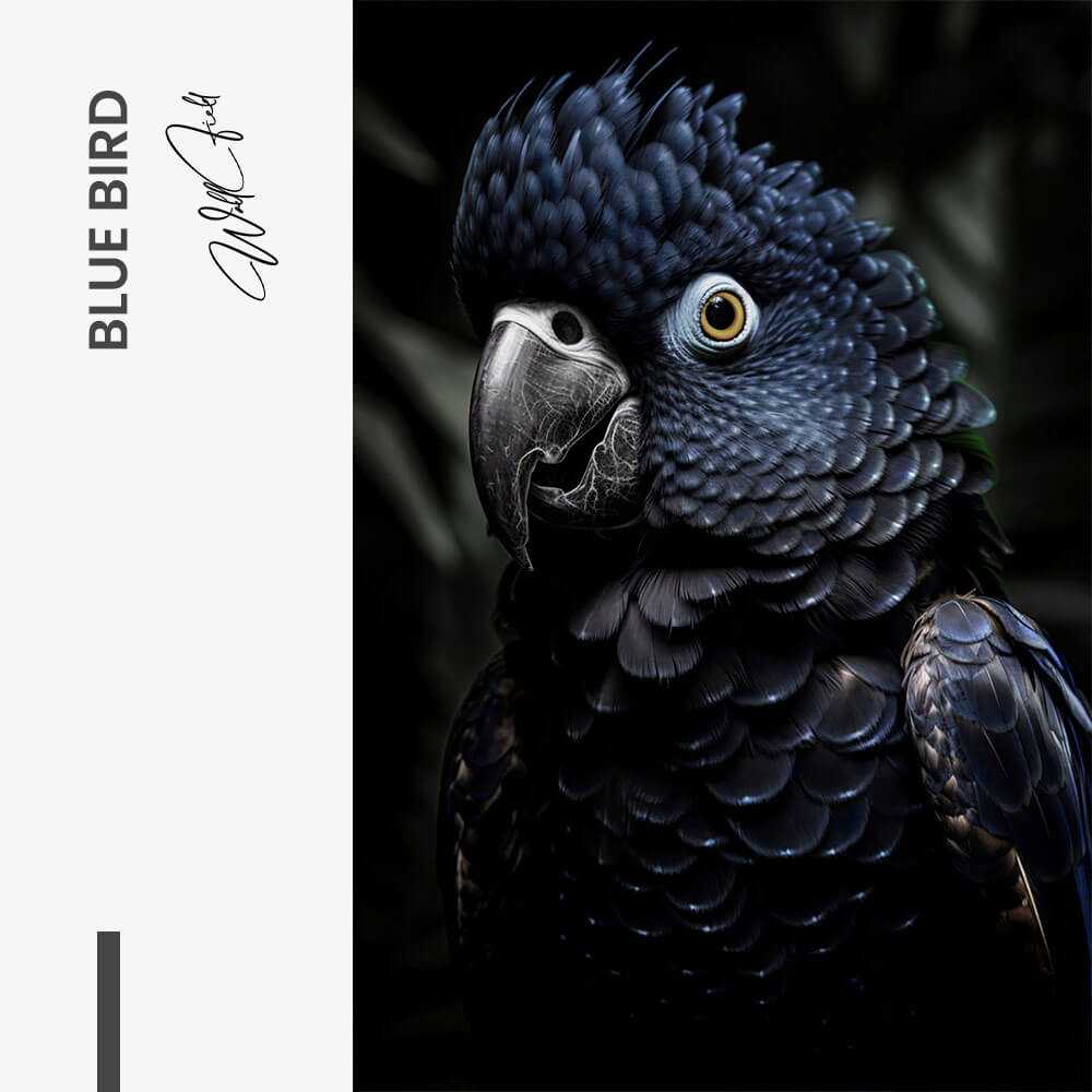Blue Bird – Vetro
