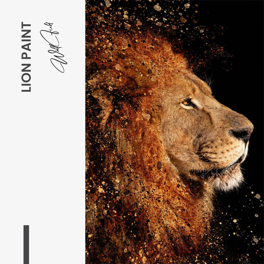 Lion Paint – Vetro
