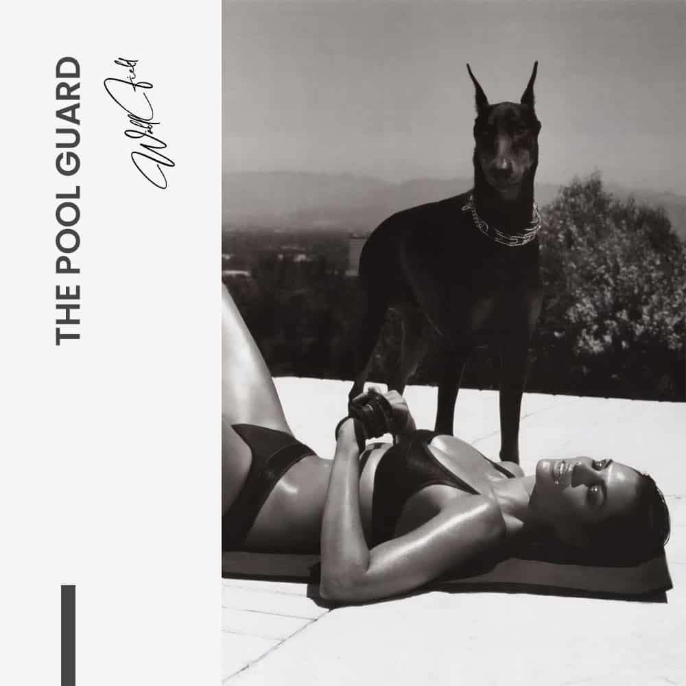 The Pool Guard – Vetro