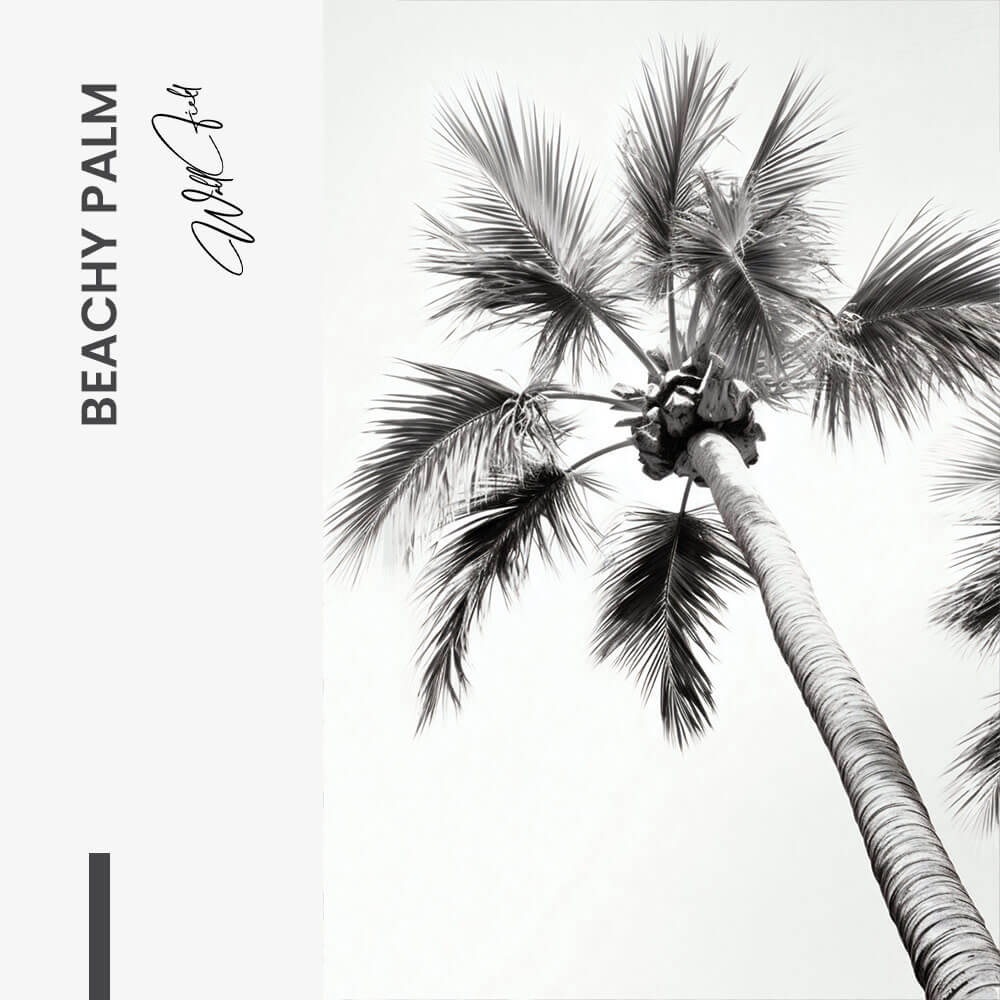 Beachy Palm - Vetro