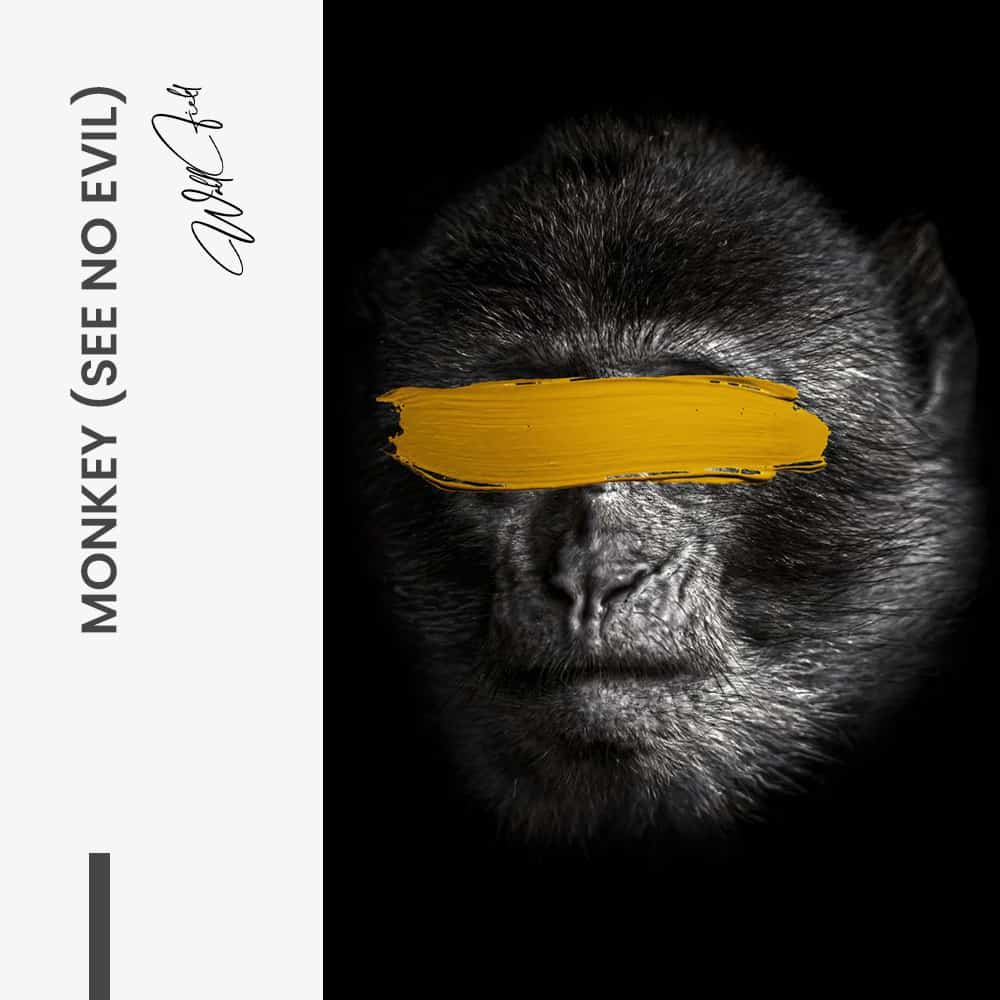 Bundle: "3 Wise Monkeys" (3x)