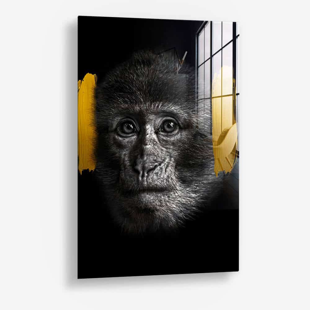 Bundle: “3 Wise Monkeys” (3x) - Vetro