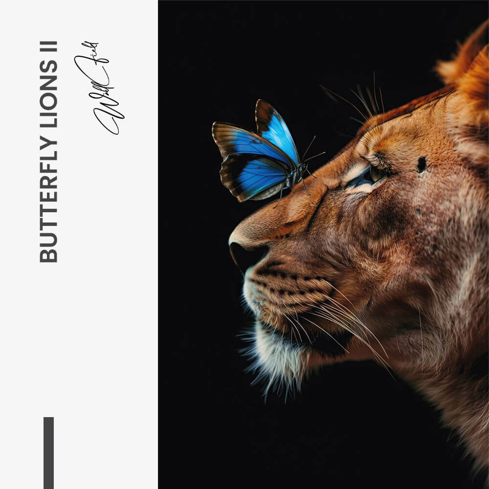 Butterfly Lioness – Vetro