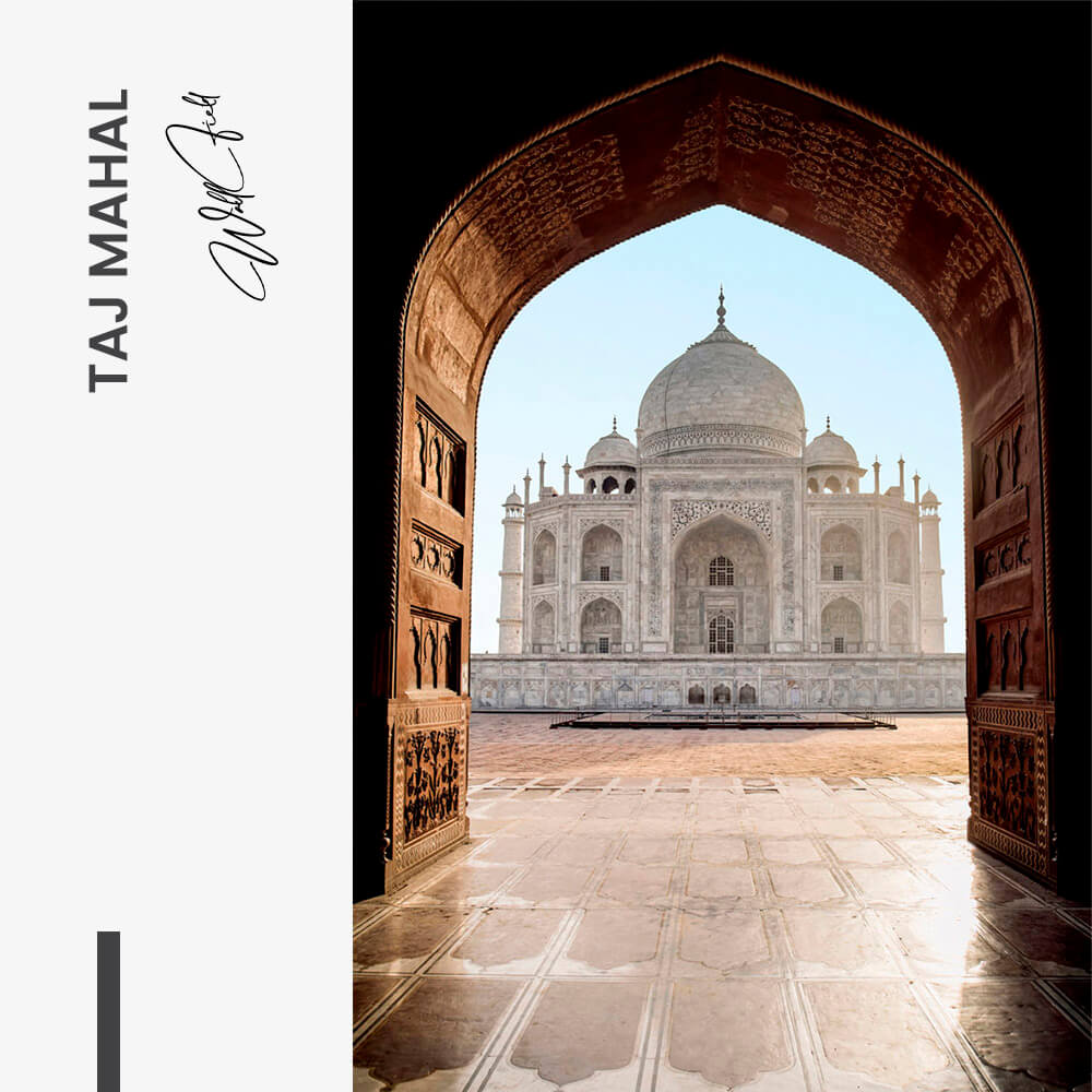 Taj Mahal – Vetro