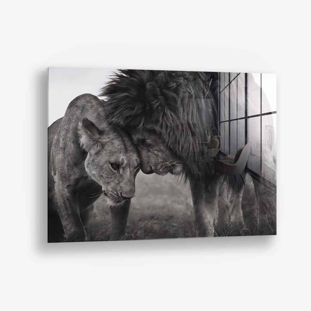 Loving Lion - Glass