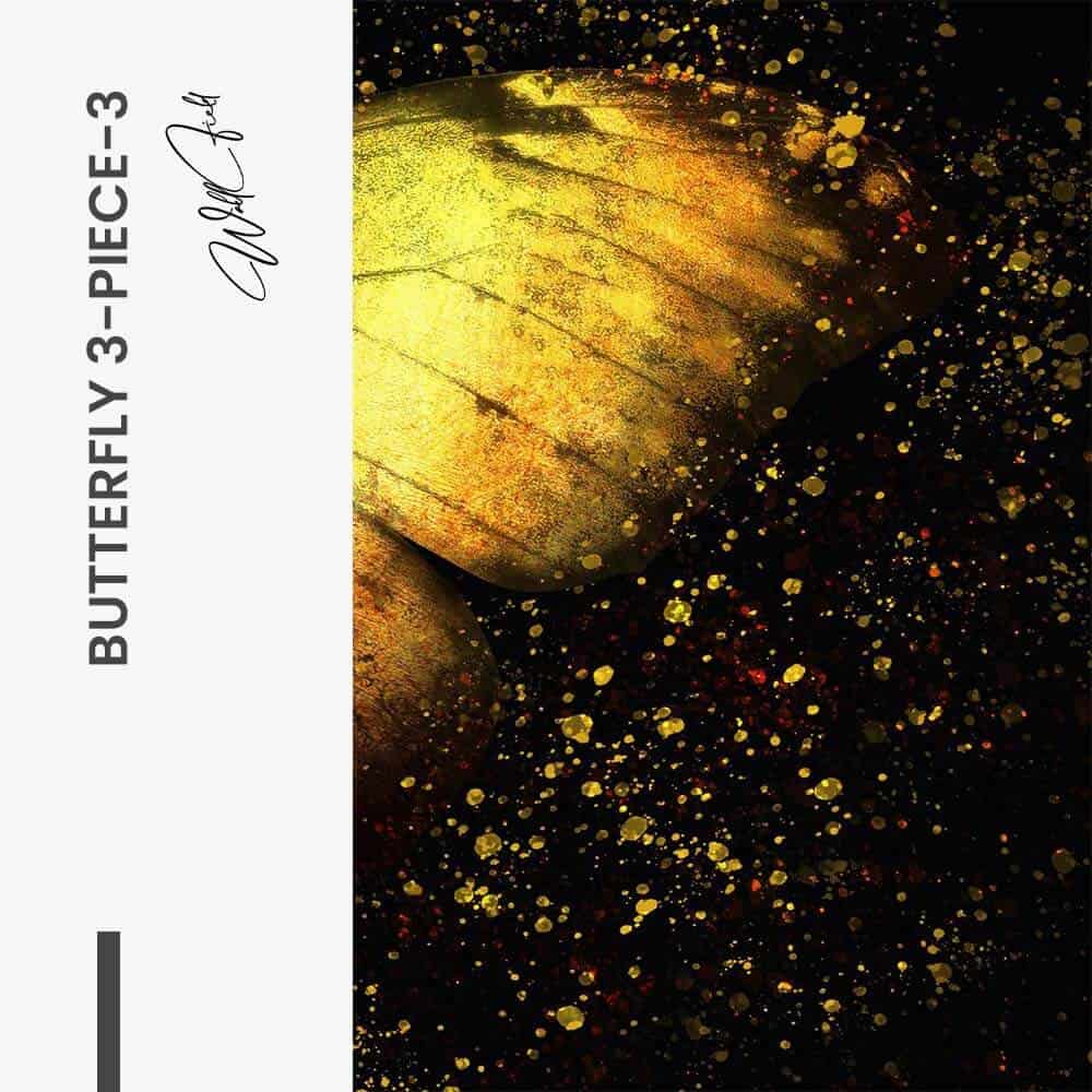 Bundle: "Butterfly 3-Piece" (3x) – Vetro