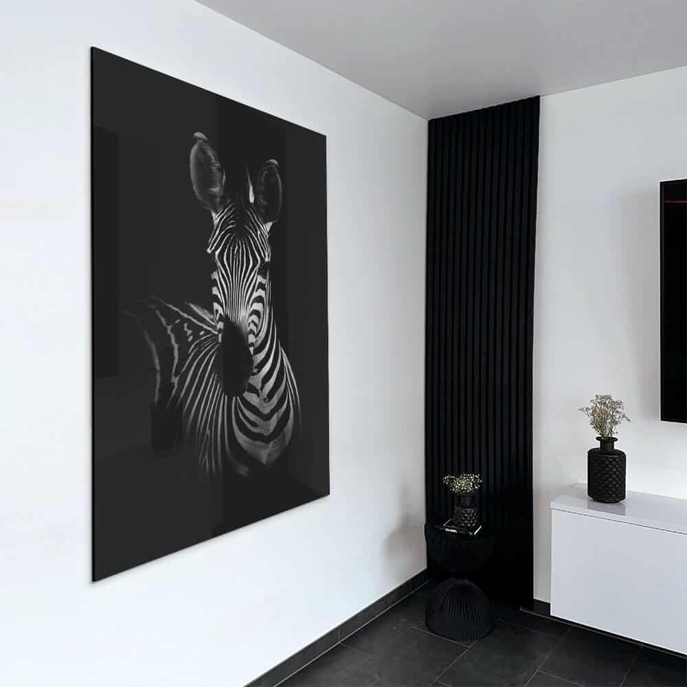 The Zebra – Vetro