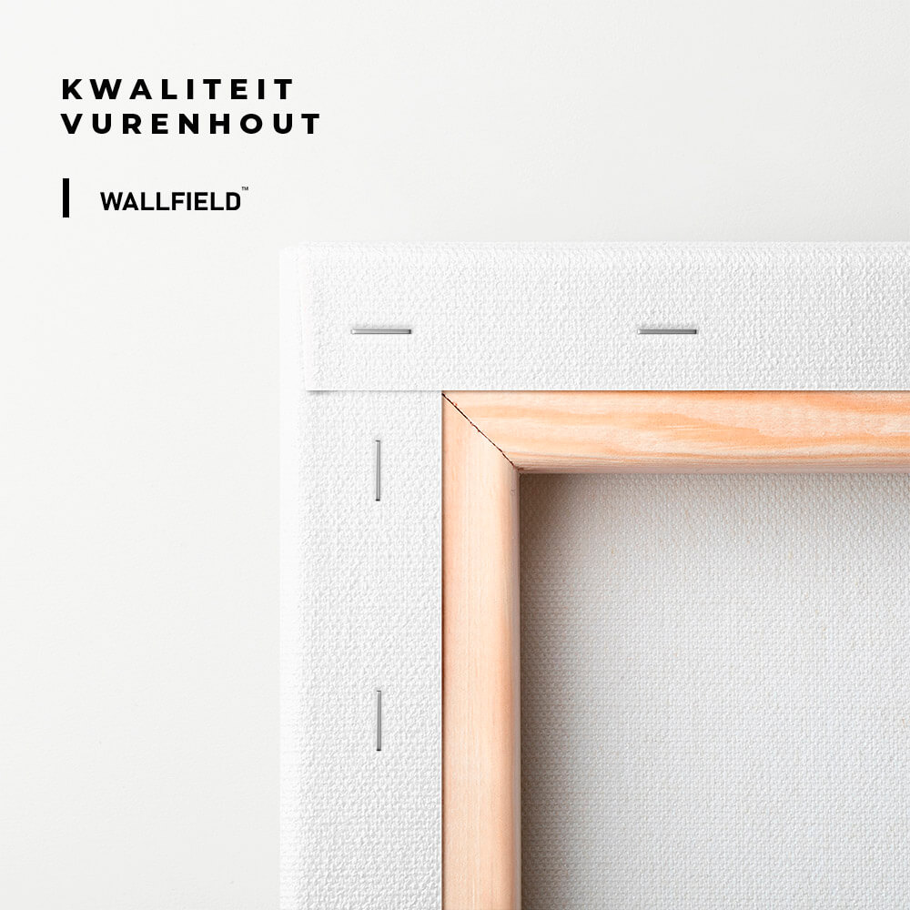 "Grand Mosque Abu Dhabi"