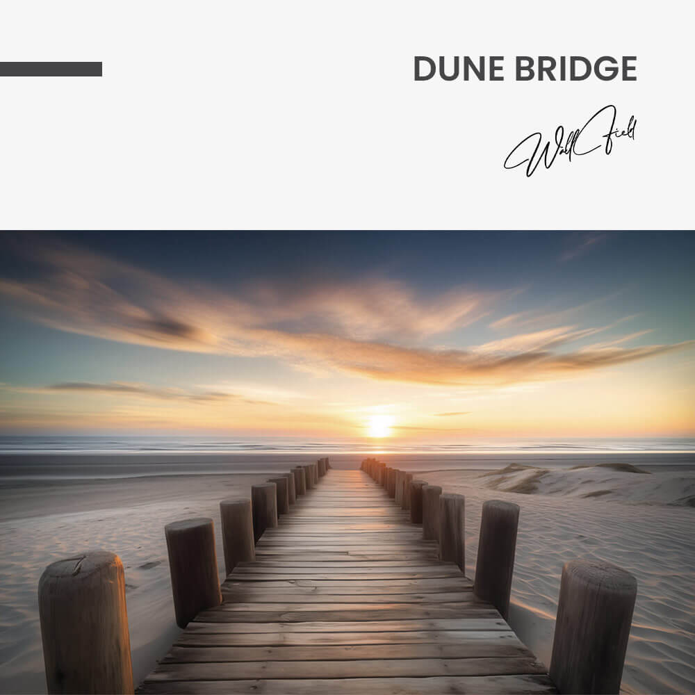 Dune Bridge – Vetro