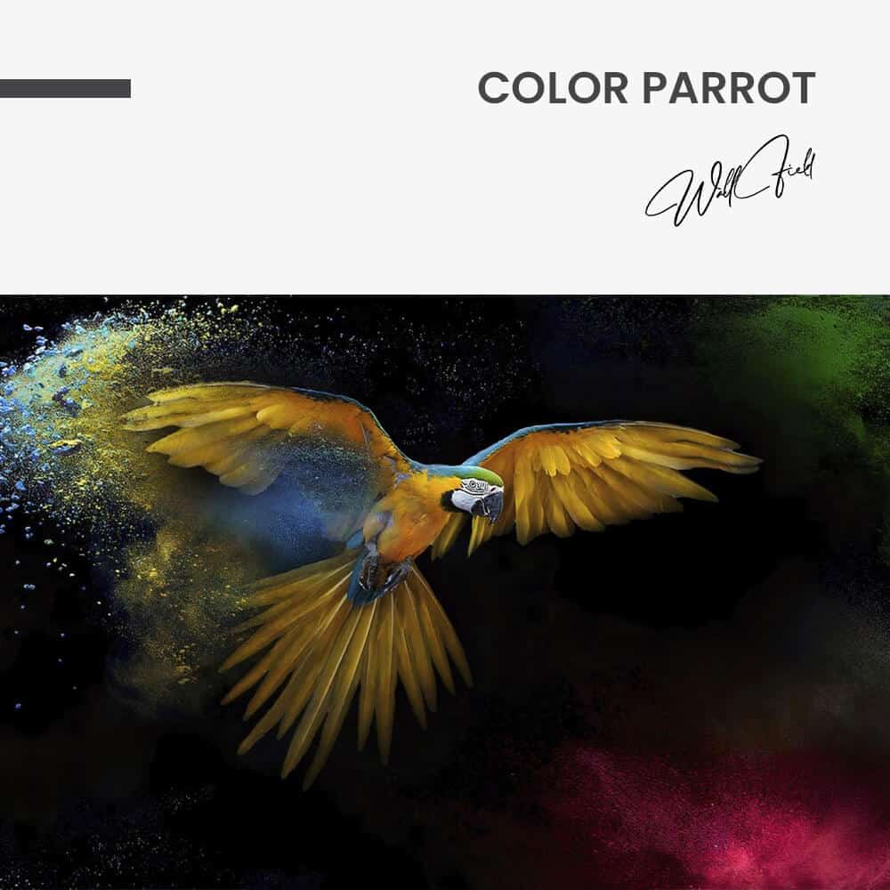 Color Parrot – Vetro