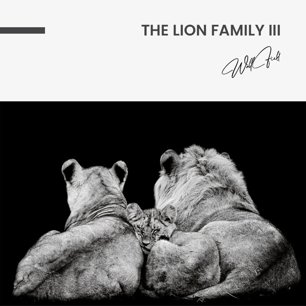 The Lion Family III – Vetro