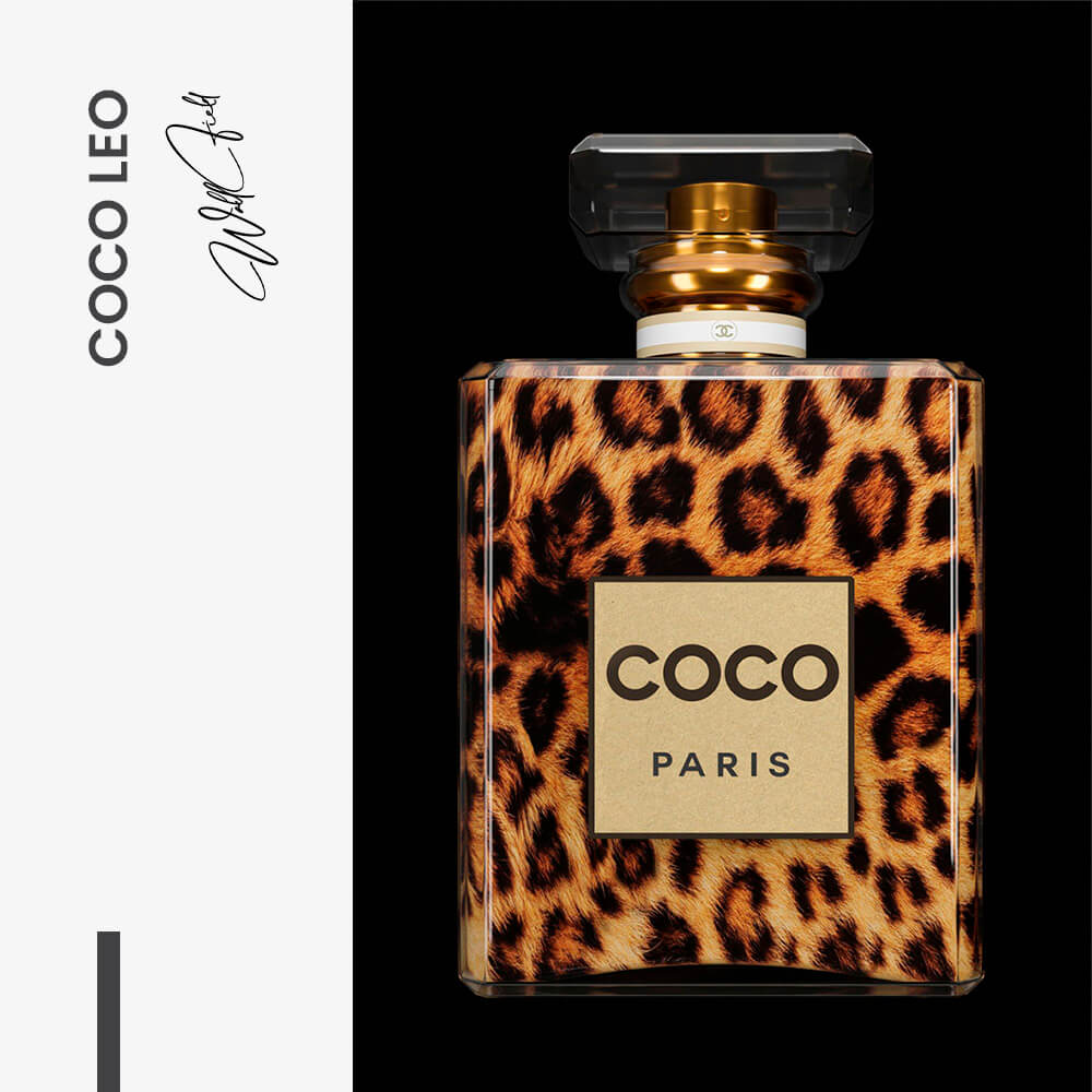 COCO Leo – Vetro