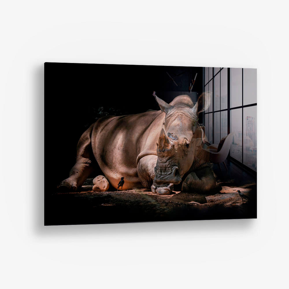 Rhino – Vetro