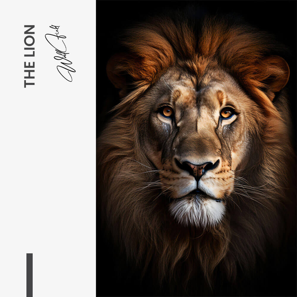 The Lion – Vetro