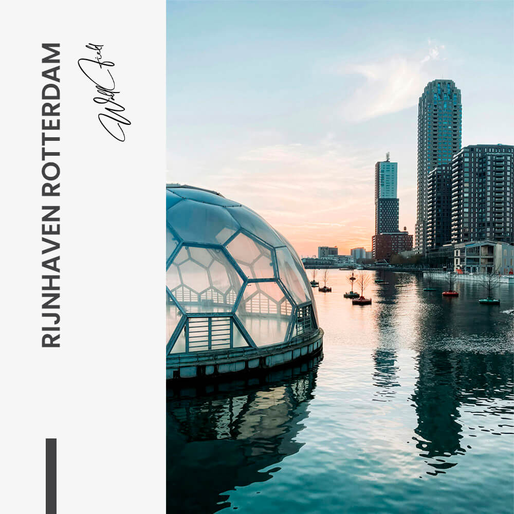"Rijnhaven Rotterdam"