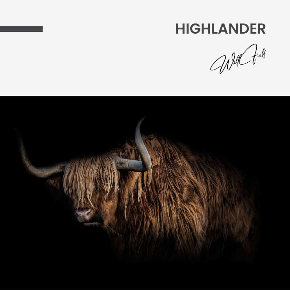 Highlander – Vetro