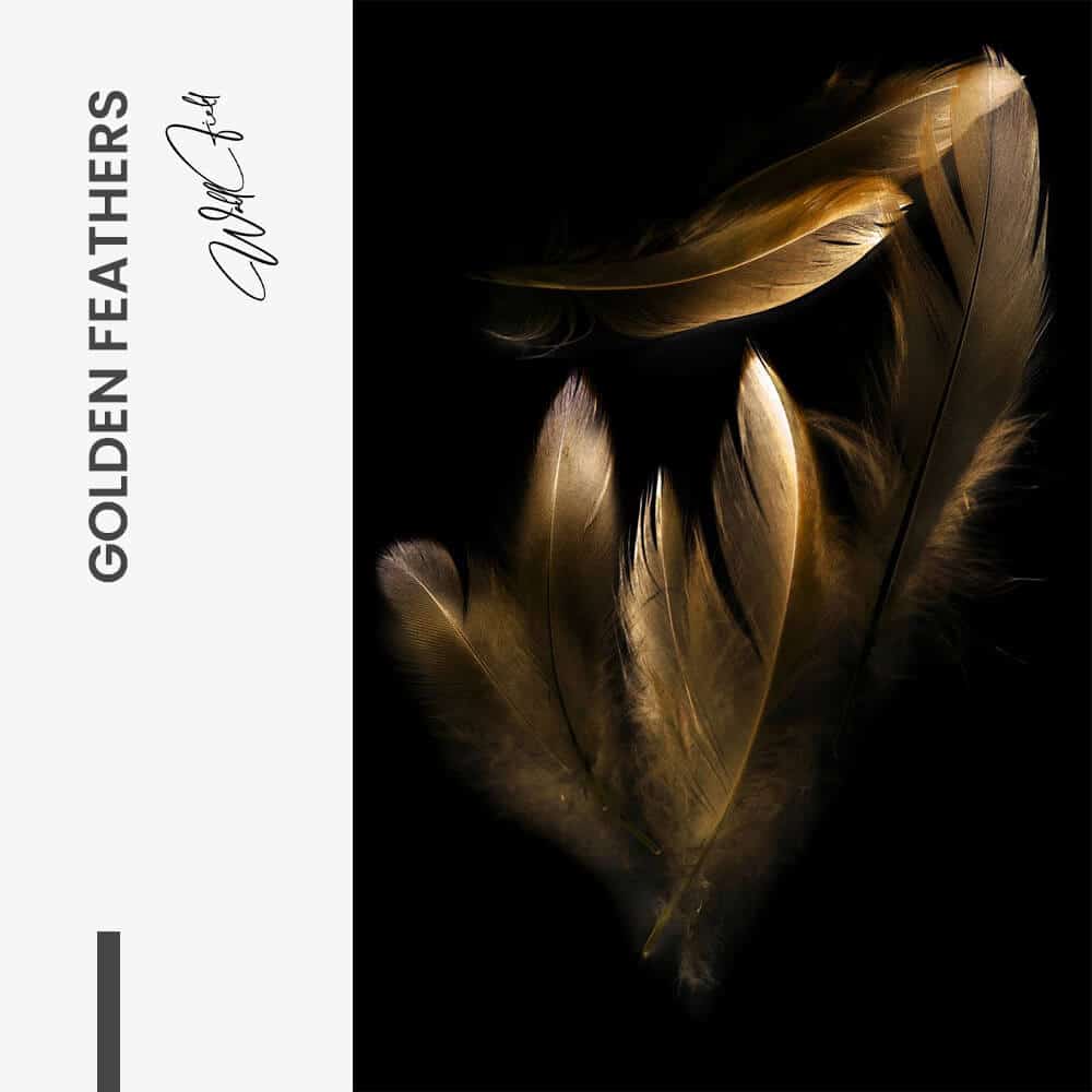 Golden Feathers - Vetro