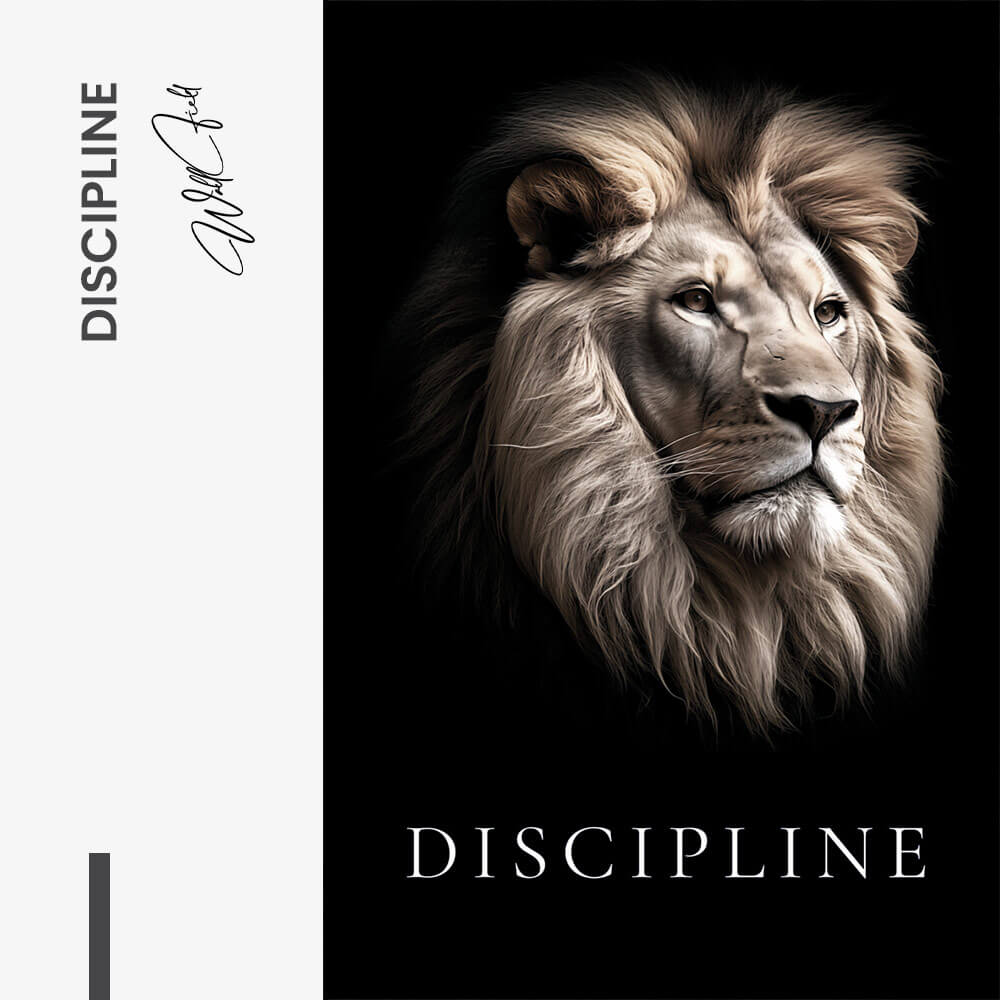Discipline – Vetro