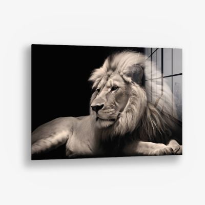 King of the Wild – Vetro