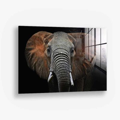 Wild Elephant – Vetro