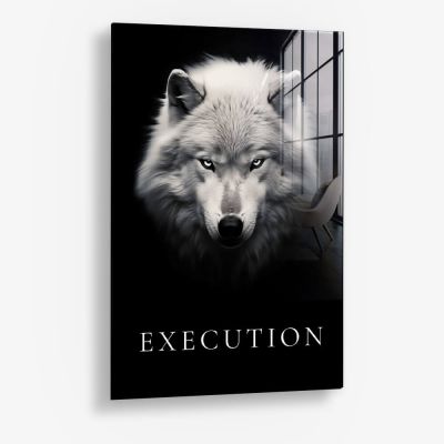 Execution – Vetro