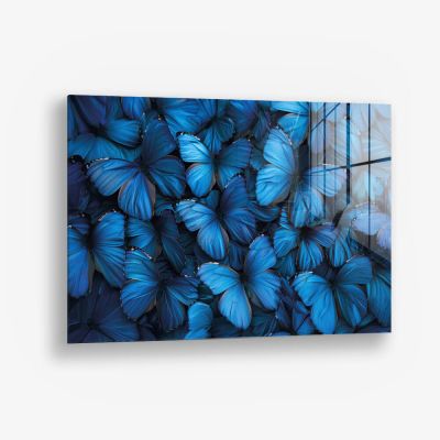 Butterfly Sea – Vetro