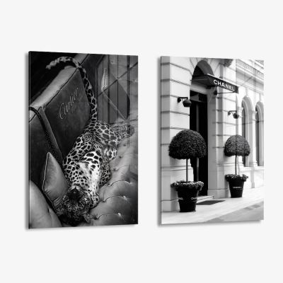 Bundle: "Timeless Elegance" (2x) – Vetro
