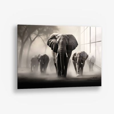 Elephant Family II – Vetro