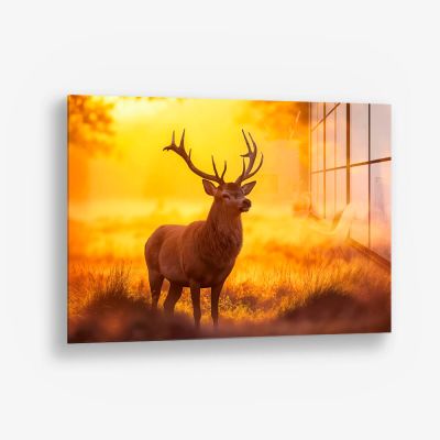 Deer – Vetro