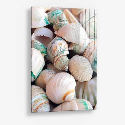 Sea Shell – Vetro