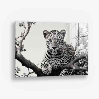 Jaguard In The Tree – Vetro
