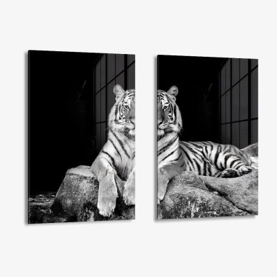 Bundle: "White Tiger" (2x) – Vetro