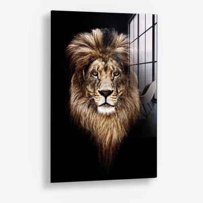 Lion Head – Vetro
