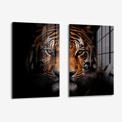 Bundle: "Tiger face" (2x) – Vetro