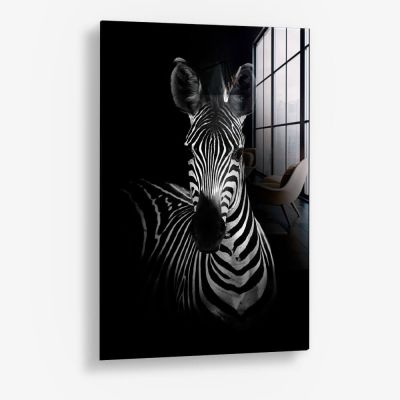 The Zebra – Vetro