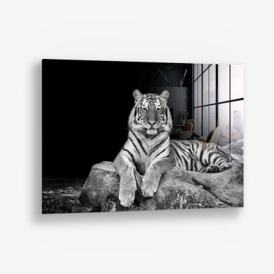 White Tiger – Vetro