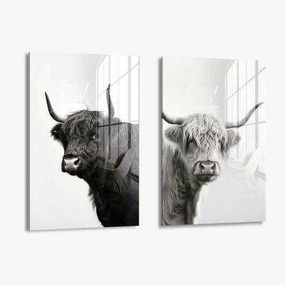 Bundle: "B&W Muscox" (2x) – Vetro
