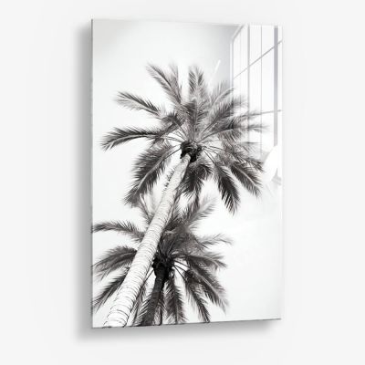 Under The Palm Trees – Vetro