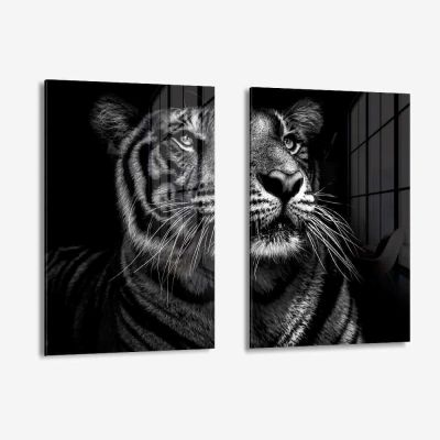 Bundle: "B&W Tiger" (2x) – Vetro