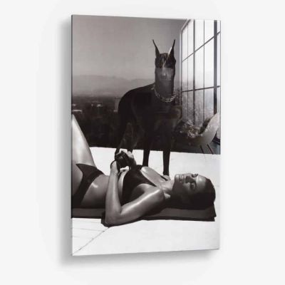 The Pool Guard – Vetro
