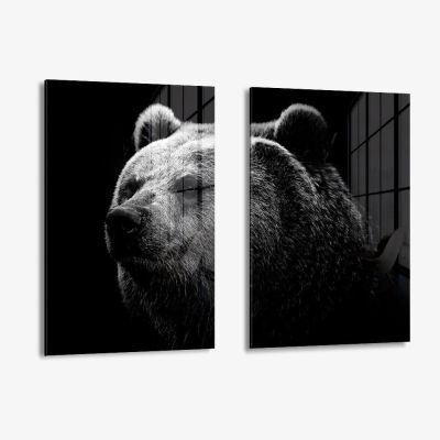 Bundle: "Big Bear" (2x) – Vetro