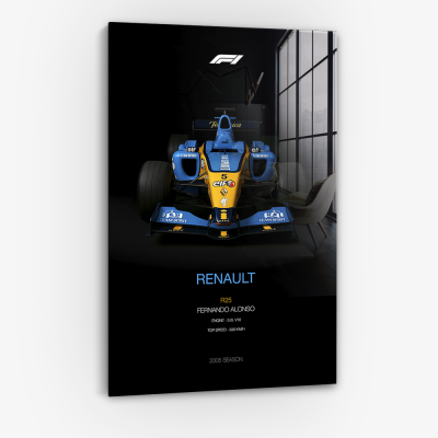 Fernando Alonso - Vetro