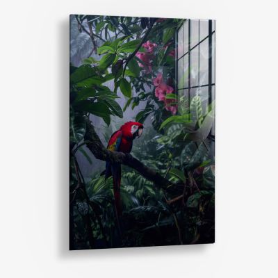 Tropical Serenade – Vetro