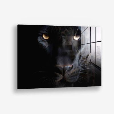 The Black Panther – Vetro