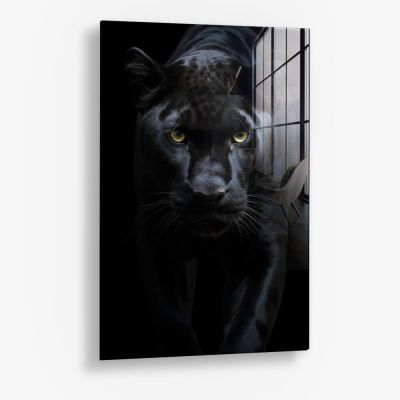Black Jaguar – Vetro