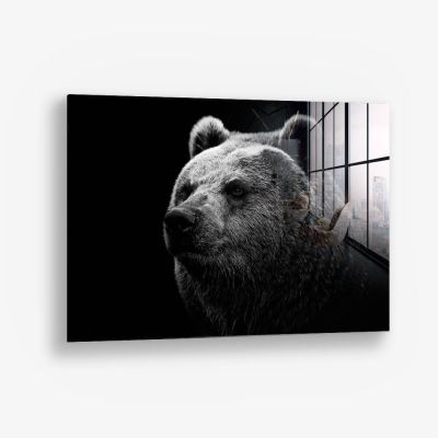 Big Bear – Vetro