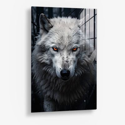 Snowy Wolf II – Vetro