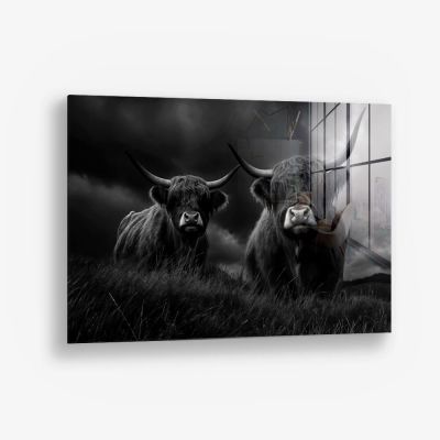 Highlander Duo – Vetro